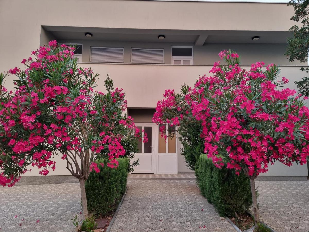 Apartman Jozic *